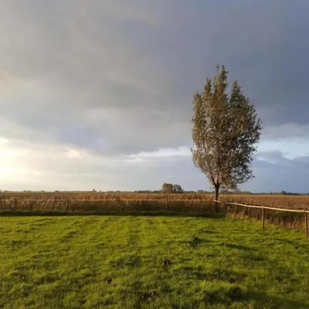 Wheelchair-friendly Retreat * Simonshaven